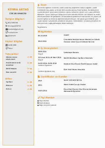 Çocuk Bakıcısı CV Örnekleri cv indir